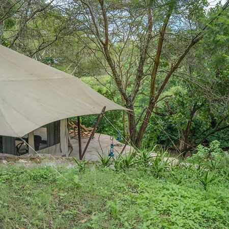 Dolly Farm & River Camp, Luxury Tents Usa River Екстериор снимка