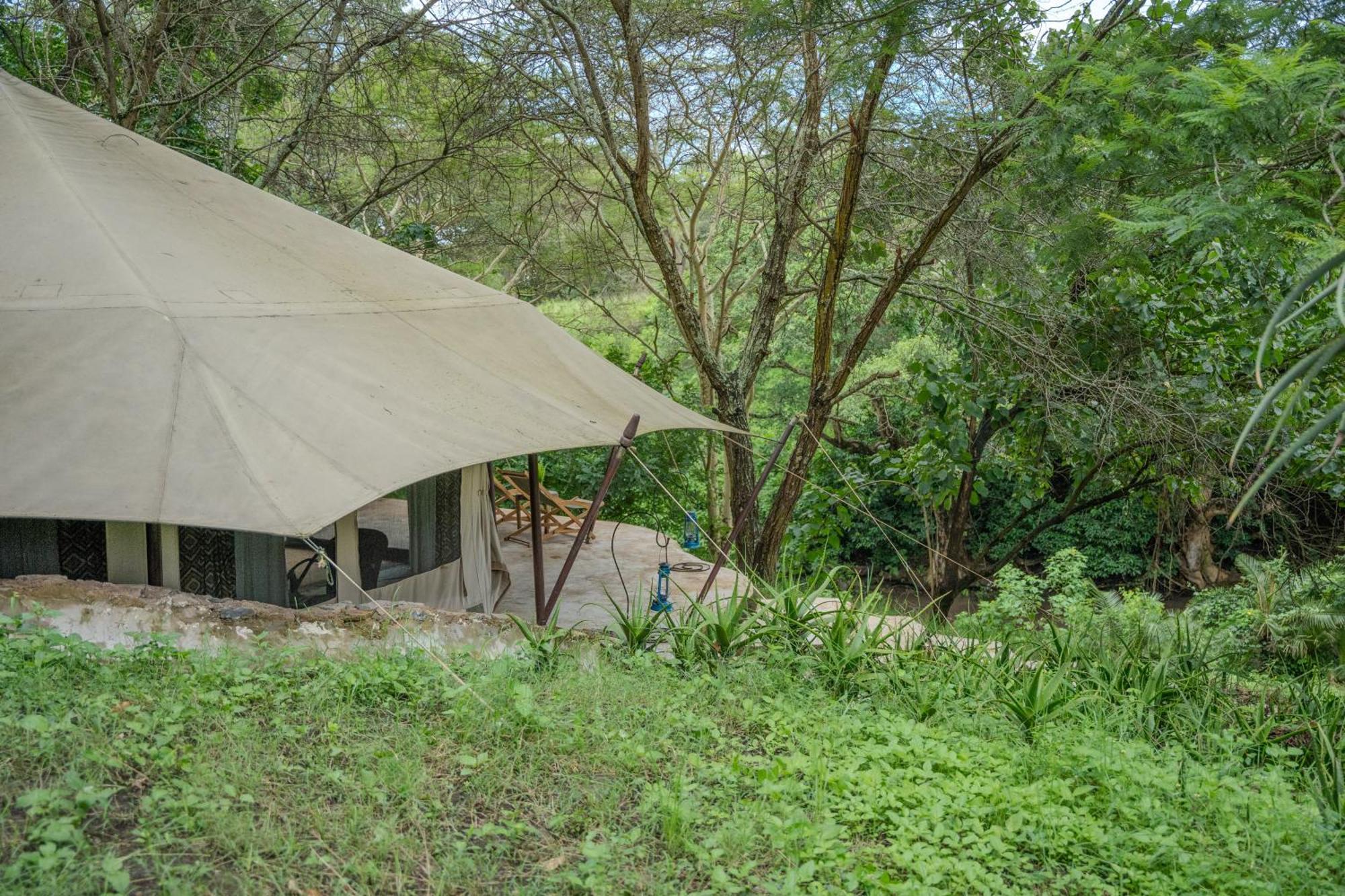 Dolly Farm & River Camp, Luxury Tents Usa River Екстериор снимка