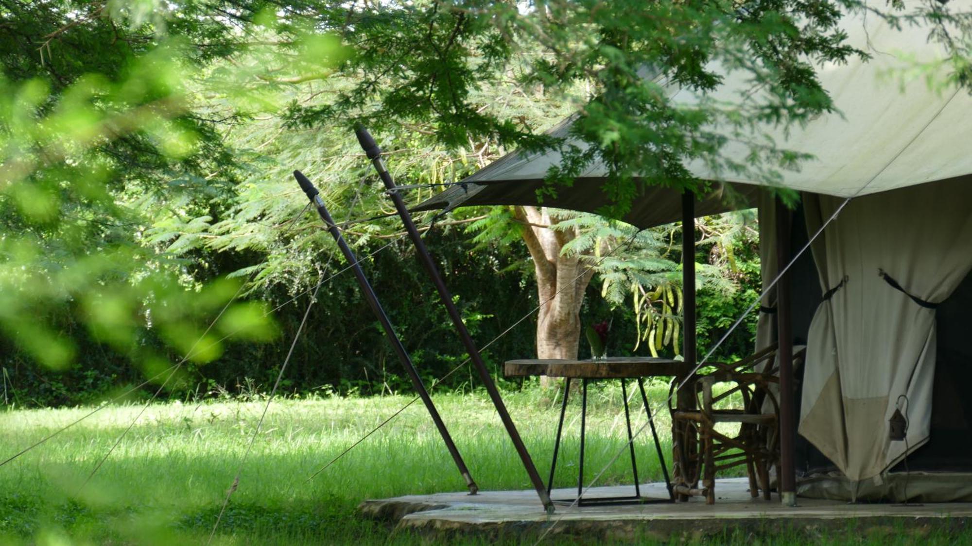 Dolly Farm & River Camp, Luxury Tents Usa River Екстериор снимка