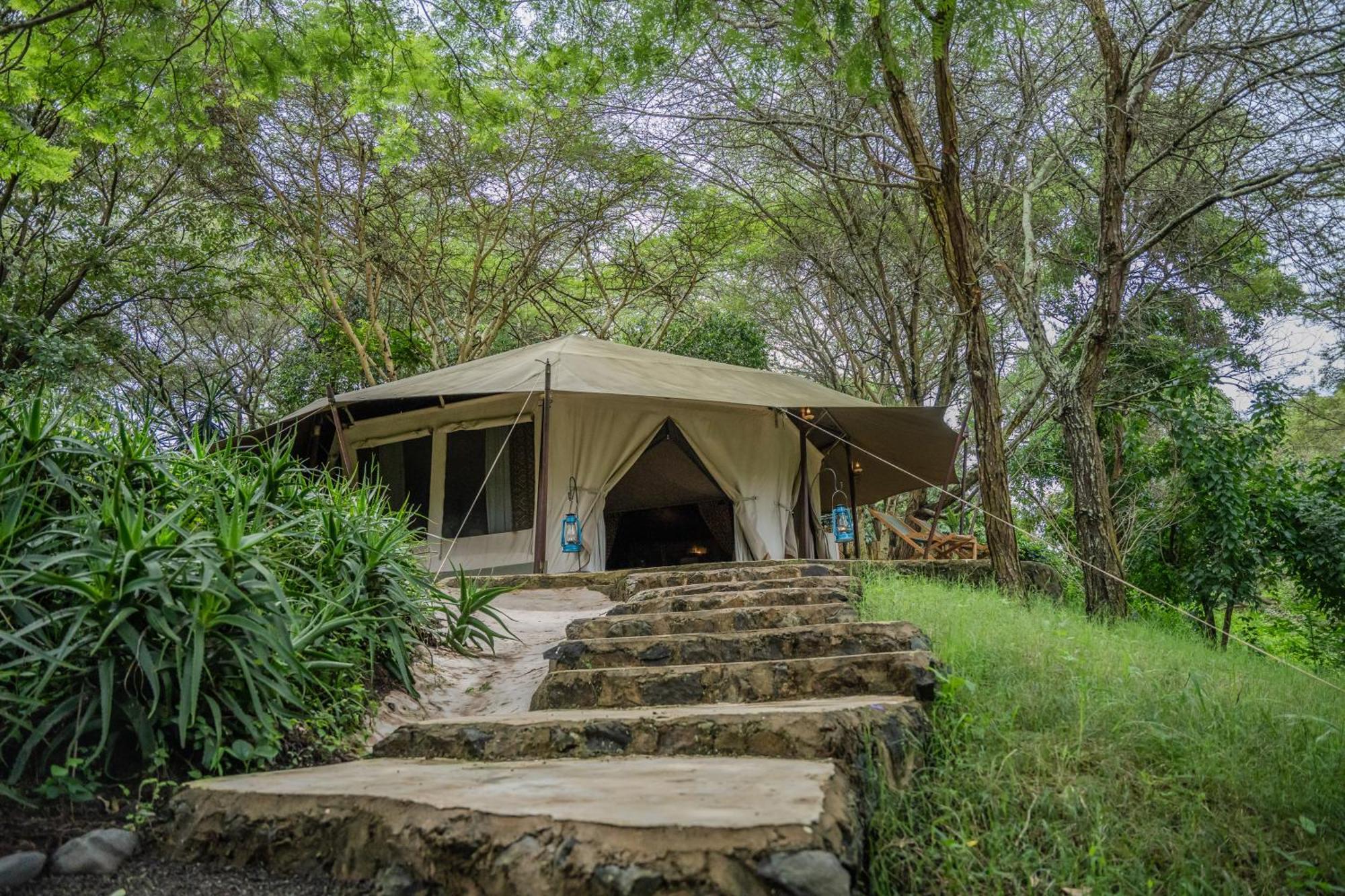 Dolly Farm & River Camp, Luxury Tents Usa River Екстериор снимка