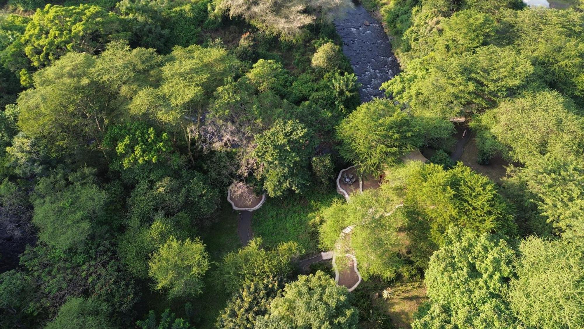 Dolly Farm & River Camp, Luxury Tents Usa River Екстериор снимка
